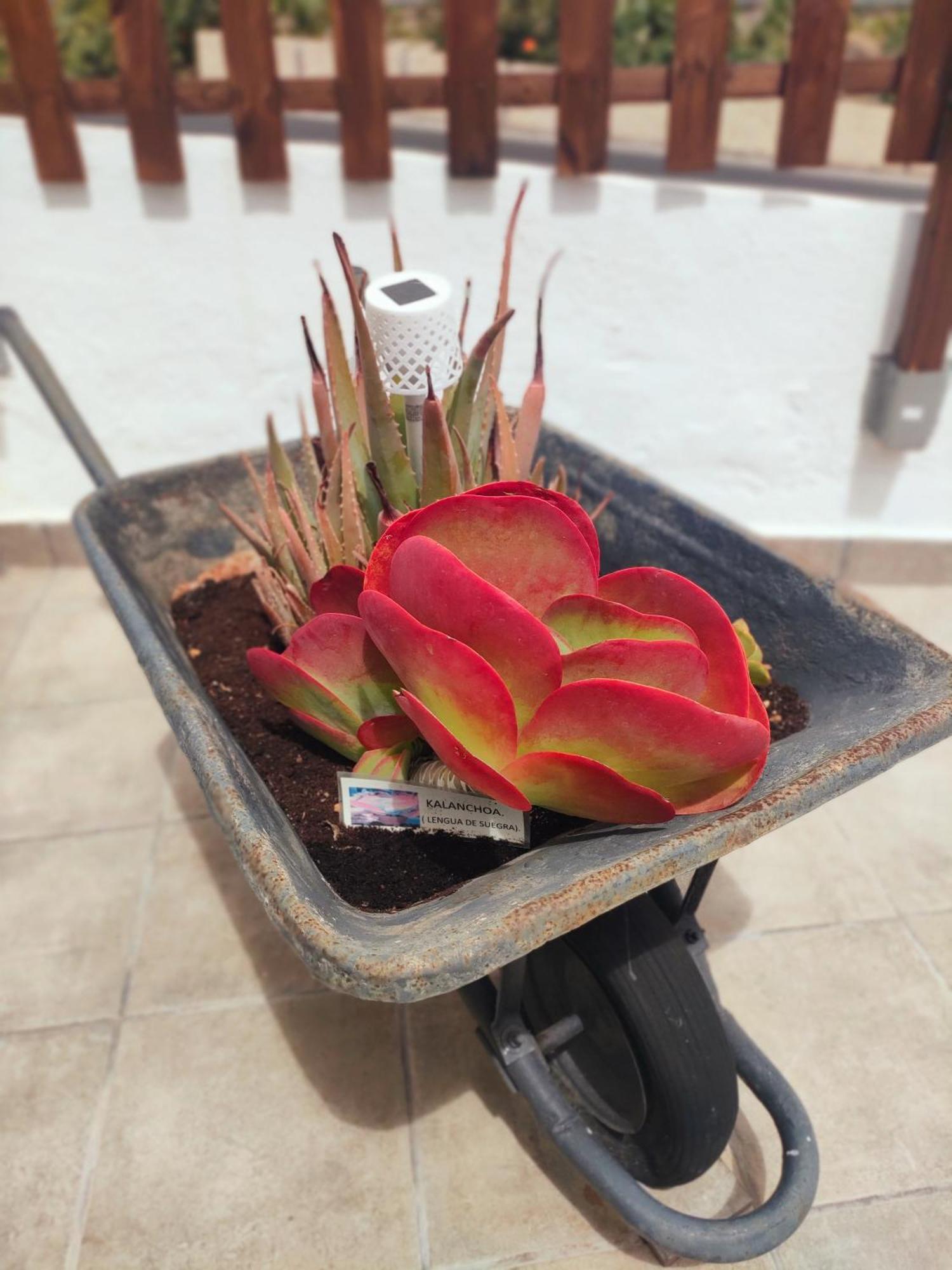 גרנדילה דה אבונה Casa El Escano מראה חיצוני תמונה